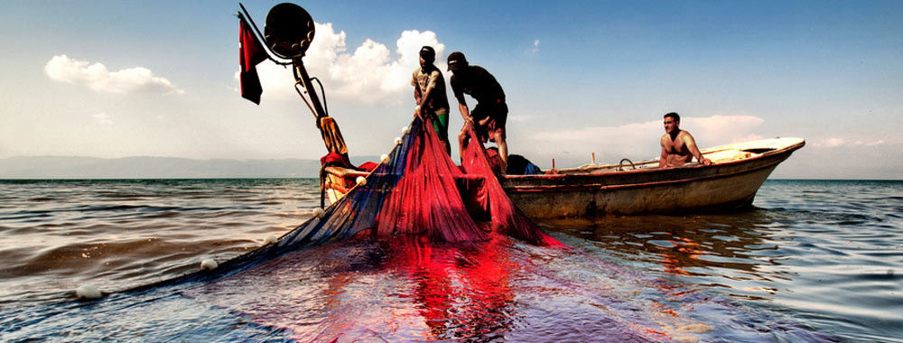 Κίνα καλύτερος HDPE δίχτυα του ψαρέματος στις πωλήσεις